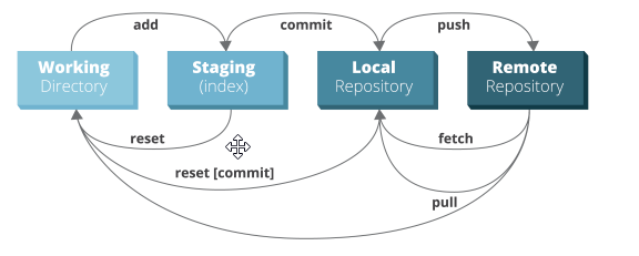What Is Phases of Git ?